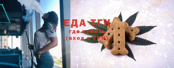 индика Бугульма