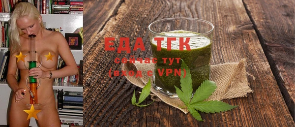 индика Бугульма