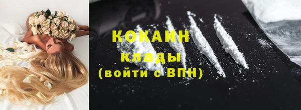 молекула духа Бородино
