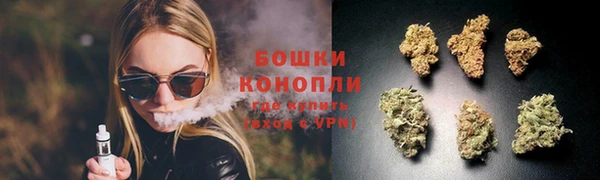 индика Бугульма