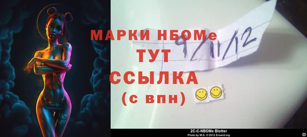 индика Бугульма