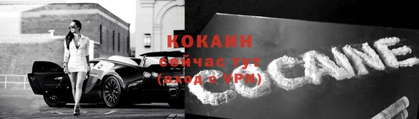 индика Бугульма