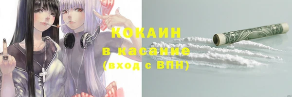 молекула духа Бородино