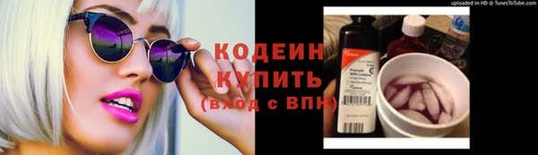 молекула духа Бородино