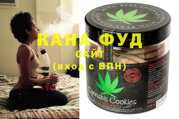 индика Бугульма