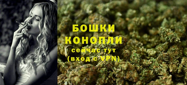молекула духа Бородино