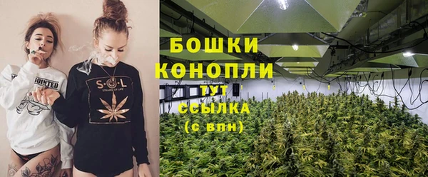 молекула духа Бородино