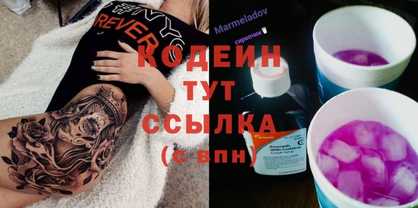 молекула духа Бородино