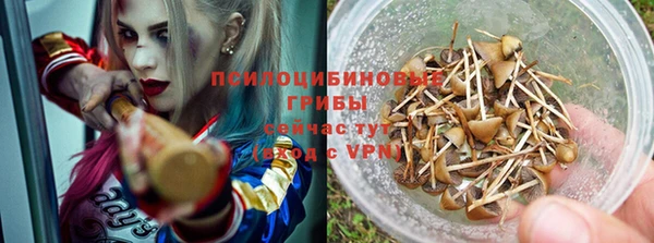 молекула духа Бородино
