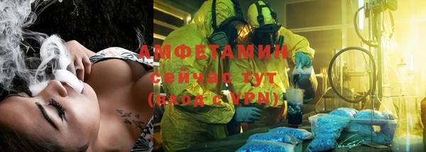 молекула духа Бородино