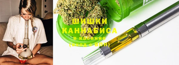 соль ск Бронницы
