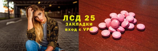 молекула духа Бородино