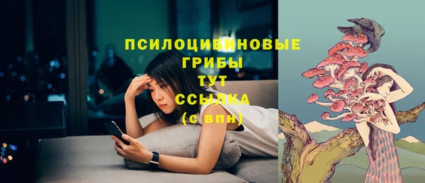 индика Бугульма