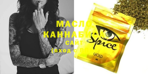 индика Бугульма