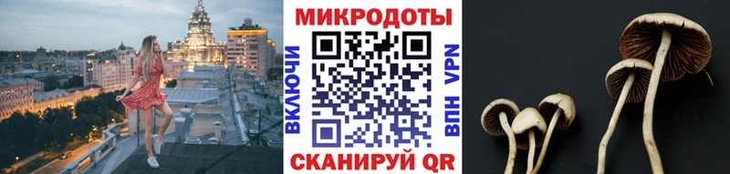 где найти наркотики  Крым  OMG онион  Галлюциногенные грибы Magic Shrooms 